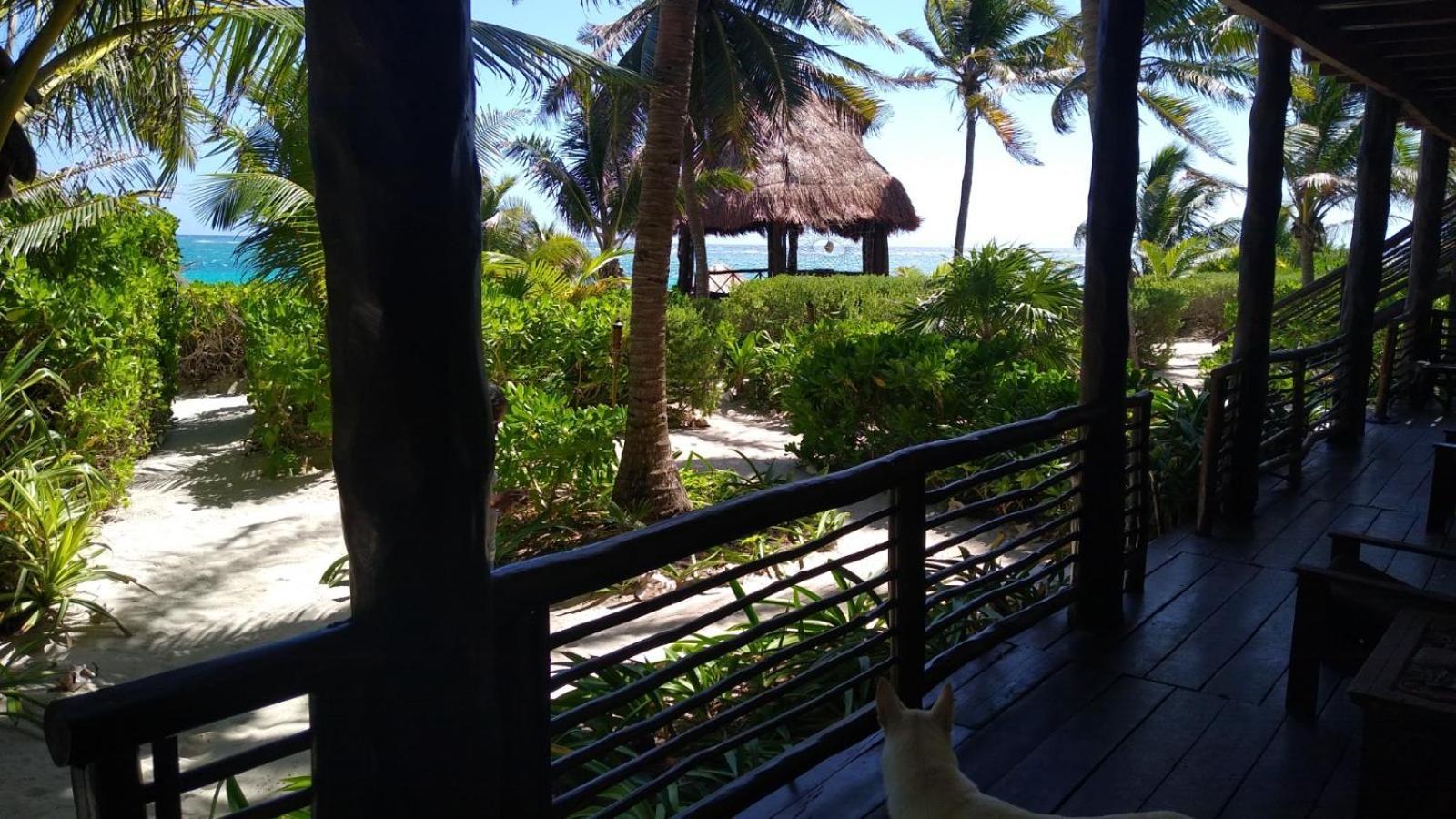 Sol Caribe Hotell Punta Allen Exteriör bild