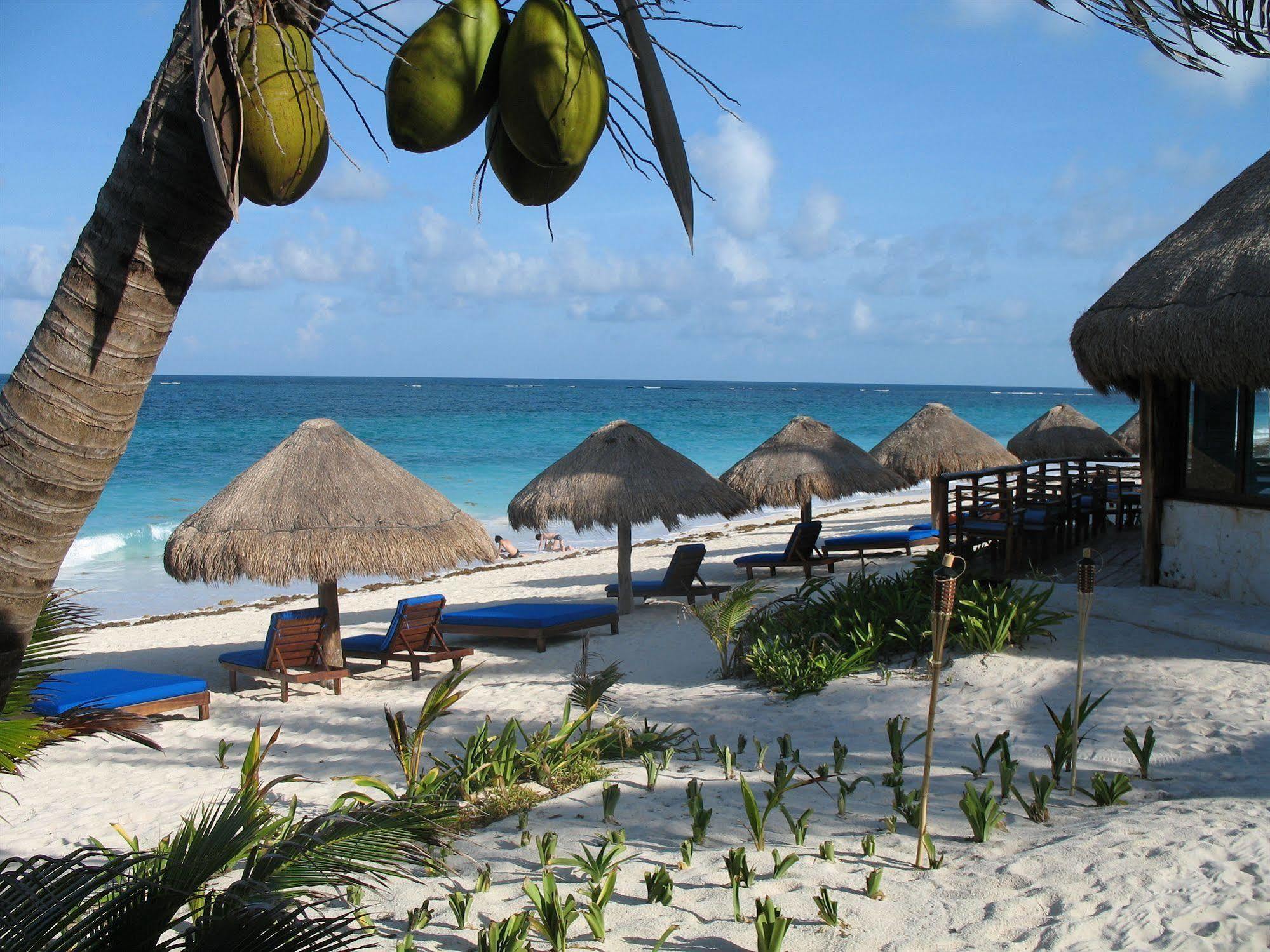 Sol Caribe Hotell Punta Allen Exteriör bild