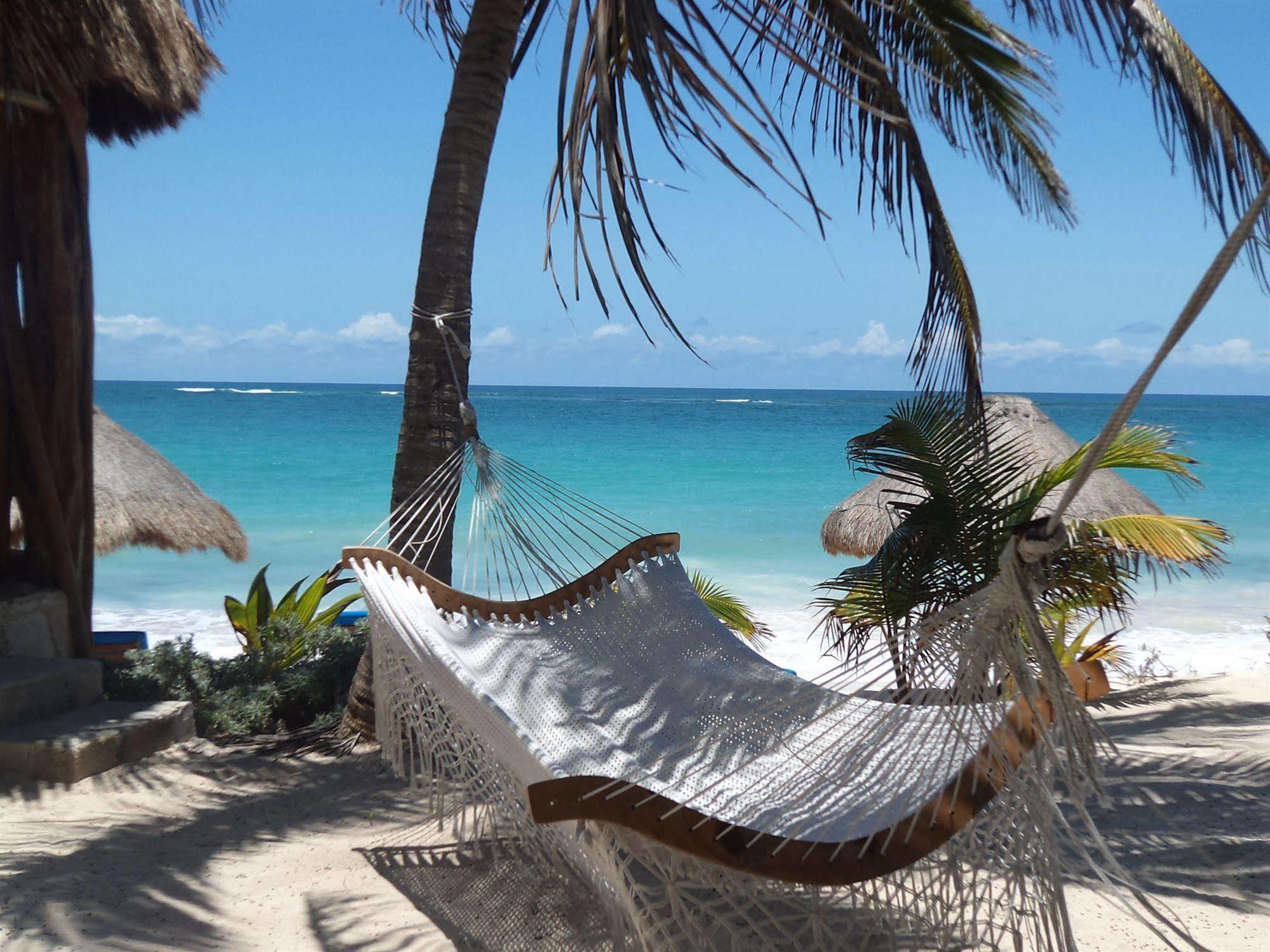 Sol Caribe Hotell Punta Allen Exteriör bild
